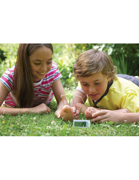 Juego de ciencia reloj de patata - 4M 303275 Juego de ciencia reloj de patata - 4M 303275