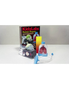 HUMAN ORGANS CIENCIA - 4M (00-03374) 2