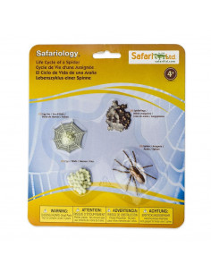 CICLO DE VIDA DE LA ARAÑA - Safari 100406