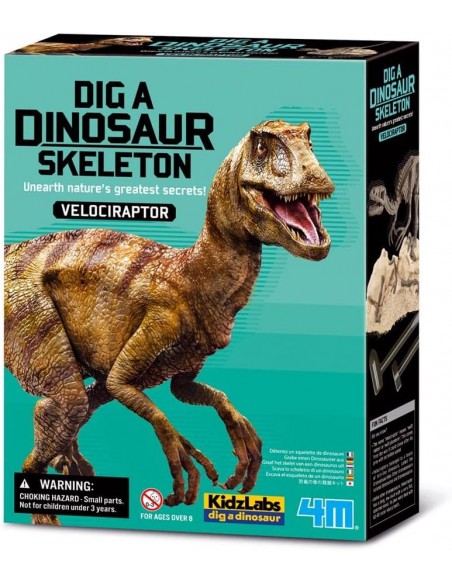 Juego de palentología para excavar el esqueleto de un Velociraptor Juego de palentología para excavar el esqueleto de un Velociraptor