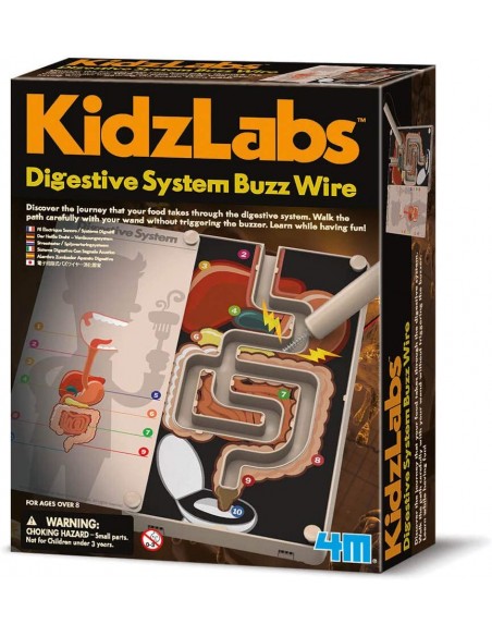 Juego de ciencia del aparato digestivo . Juego de ciencia del aparato digestivo .