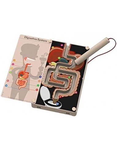 Juego de ciencia el aparato digestivo... Juego de ciencia el aparato digestivo...