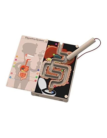 Juego de ciencia el aparato digestivo - 4M 03386