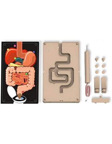 Juego de ciencia el aparato digestivo... Juego de ciencia el aparato digestivo...