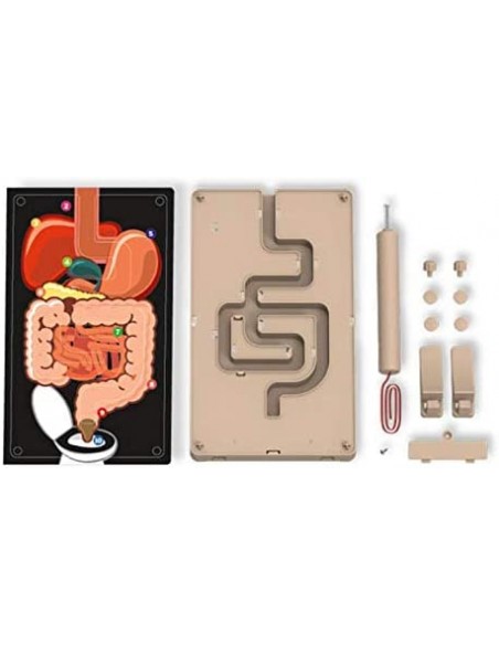 Juego de ciencia el aparato digestivo - 4M 03386
