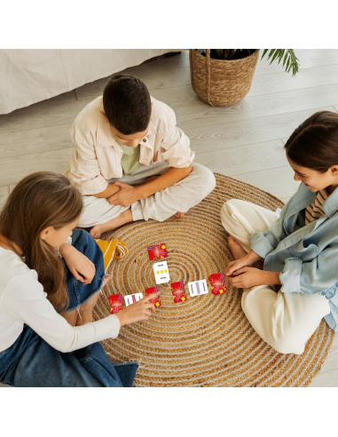 Juego de Cartas - Percepción visual y Velocidad - Anomia - Lúdilo