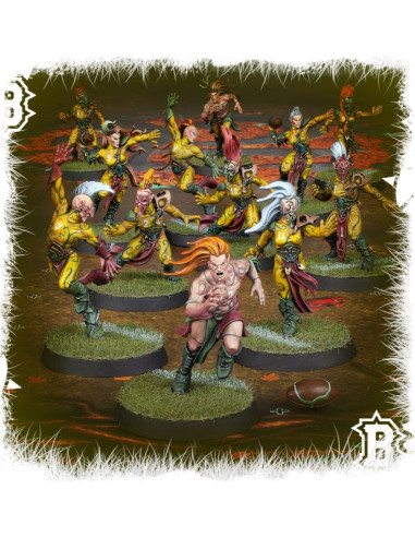Wood Elf Blood Bowl the game of fantasy football the athelorn avengers -Warhammer 200-66