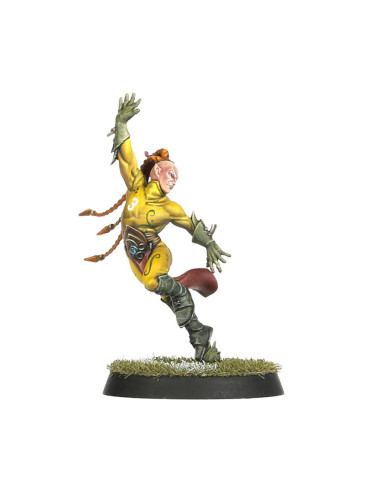 Wood Elf Blood Bowl the game of...