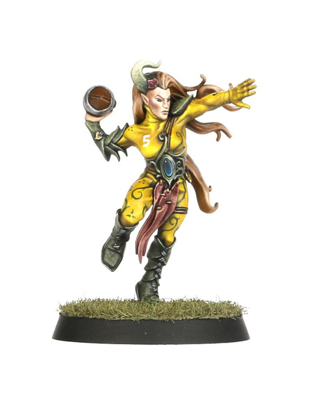 Wood Elf Blood Bowl the game of fantasy football the athelorn avengers -Warhammer 200-66