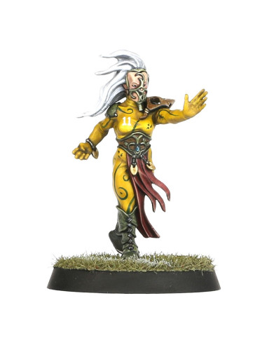 Wood Elf Blood Bowl the game of...