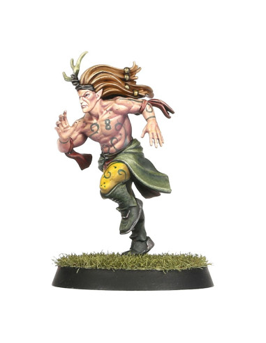Wood Elf Blood Bowl the game of...