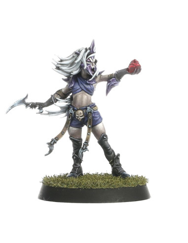 Dark elf blood bowl team the...
