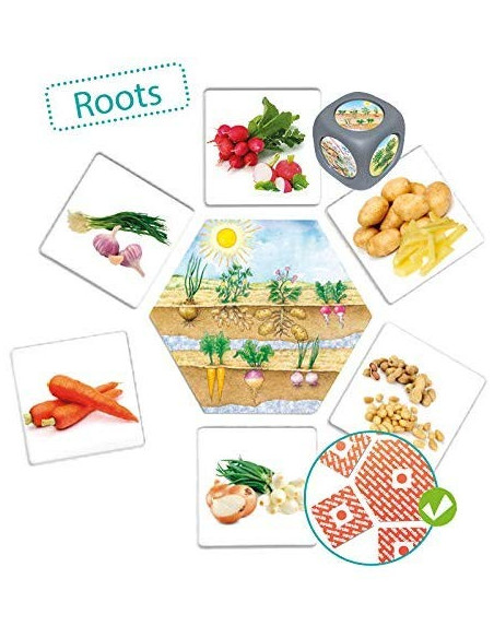 DE DONDE VIENE LOS ALIMENTOS - Arkos