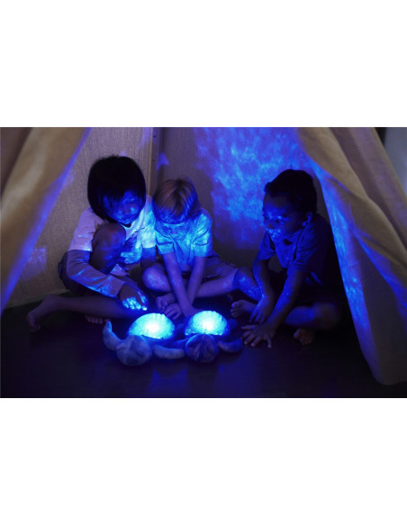 TORTUGA MARINA CON LUZ Y SONIDO TORTUGA MARINA CON LUZ Y SONIDO