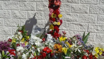 EL COLEGIO DE LA CRUZ SE PRESENTA AL CONCURSO DE FERTIBERIA