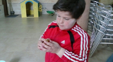 JUEGOS DE EXCAVACIÓN