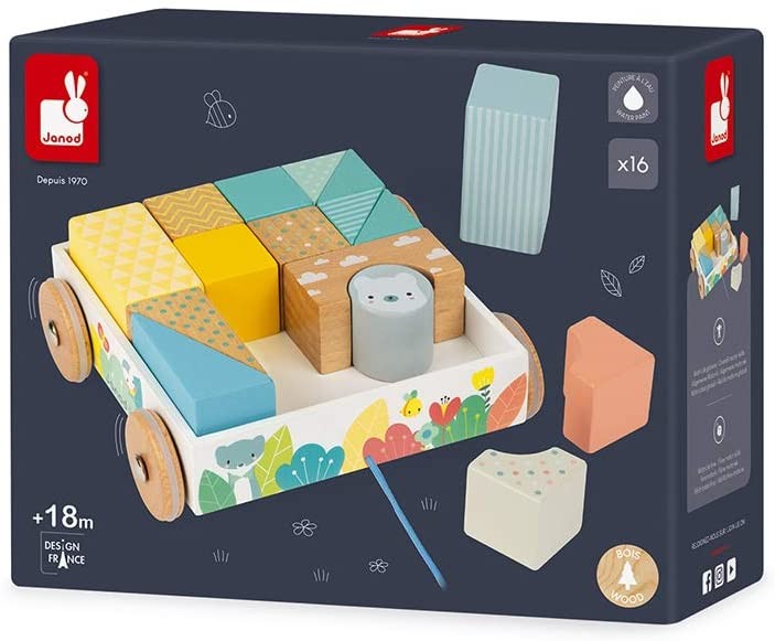 CARRITO CON CUBOS PARA PASEAR- Janod