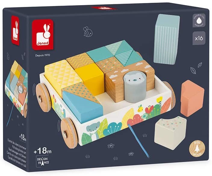 CARRITO CON CUBOS PARA PASEAR- Janod