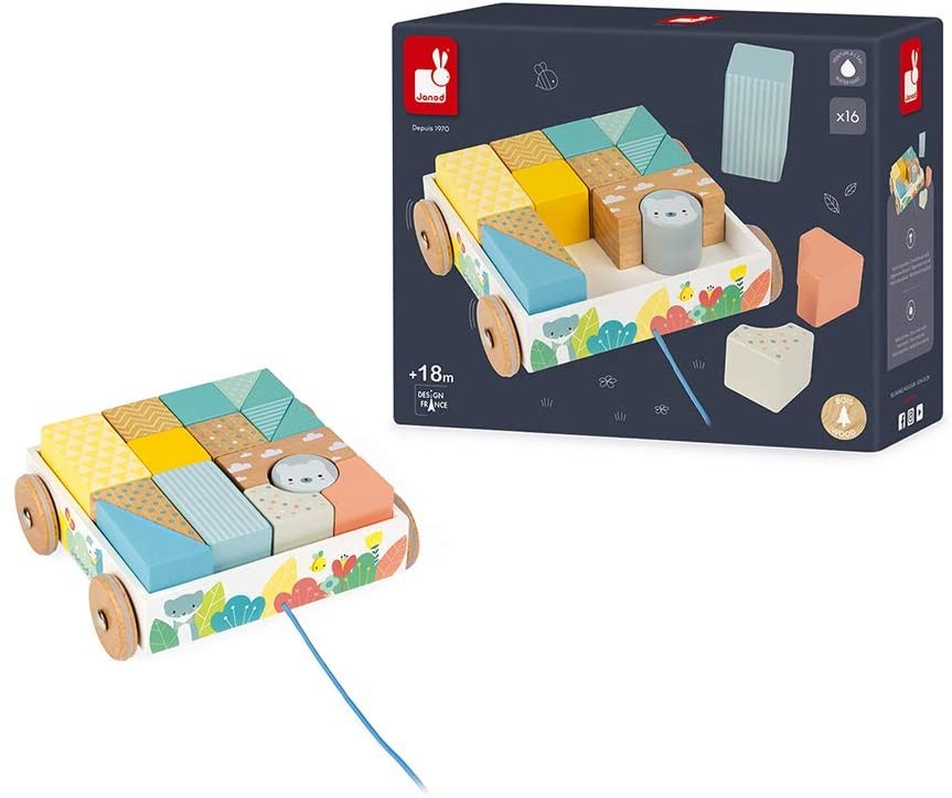 CARRITO CON CUBOS PARA PASEAR- Janod