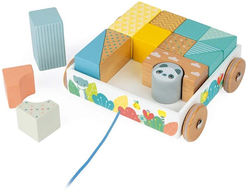 CARRITO CON CUBOS PARA PASEAR- Janod