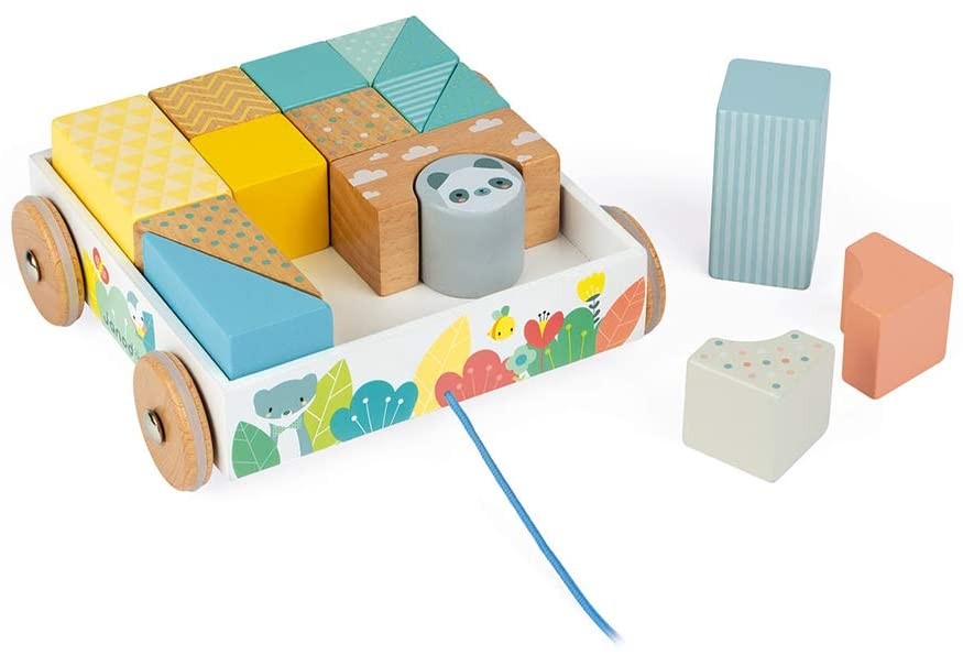 CARRITO CON CUBOS PARA PASEAR- Janod