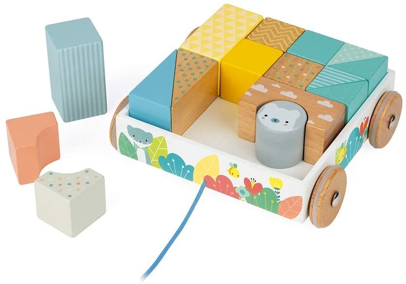 CARRITO CON CUBOS PARA PASEAR- Janod