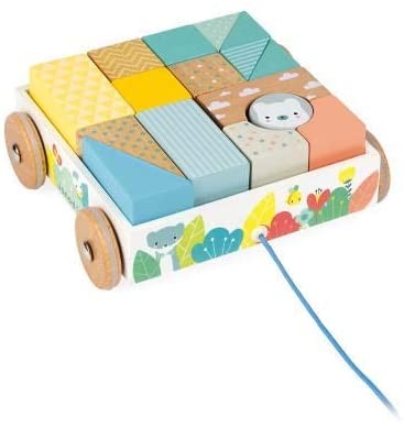 CARRITO CON CUBOS PARA PASEAR- Janod