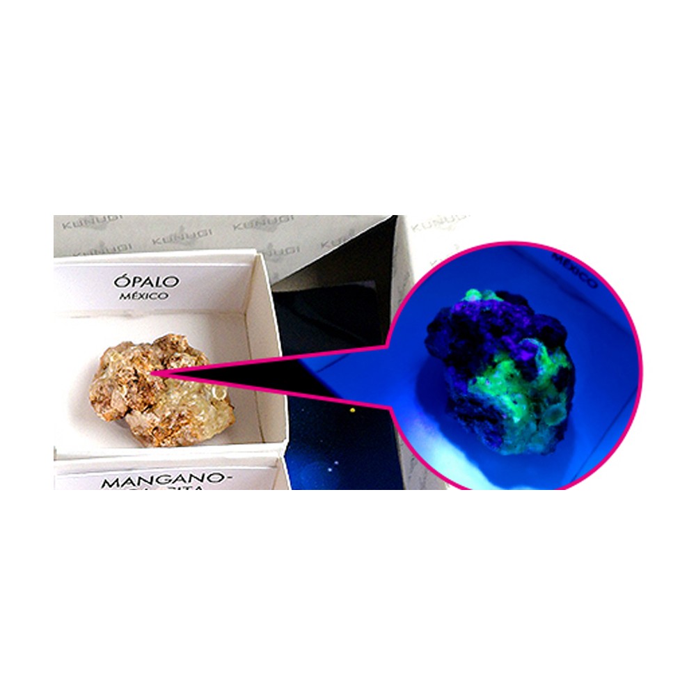 MINERALES FLUORESCENTES - KUNUGI 0101000847