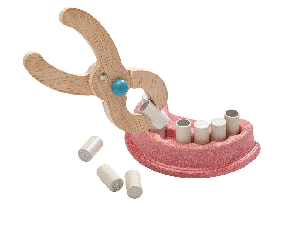 SET DE DENTISTA - Plantoys 08020