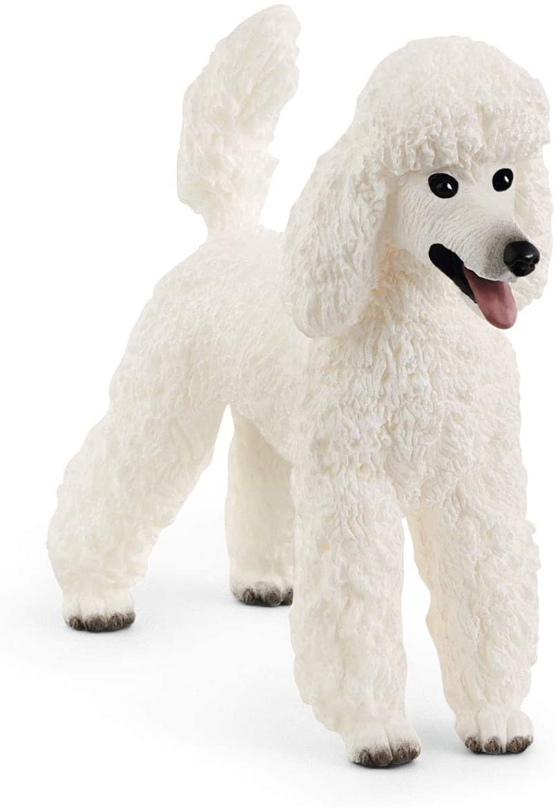 Caniche - Schleich 13917