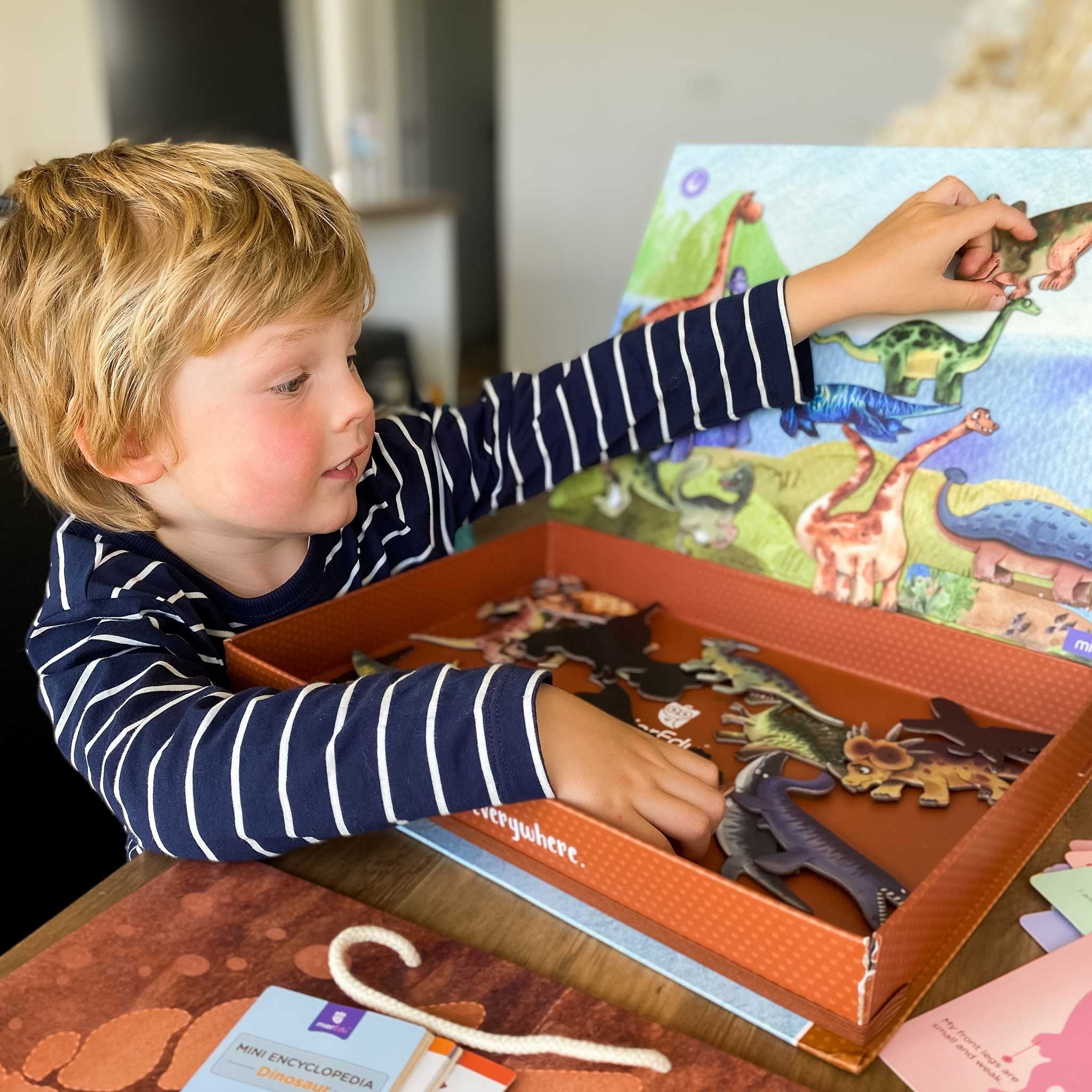 Rompecabezas magnético todo sobre dinosaurios - Mieredu ME098