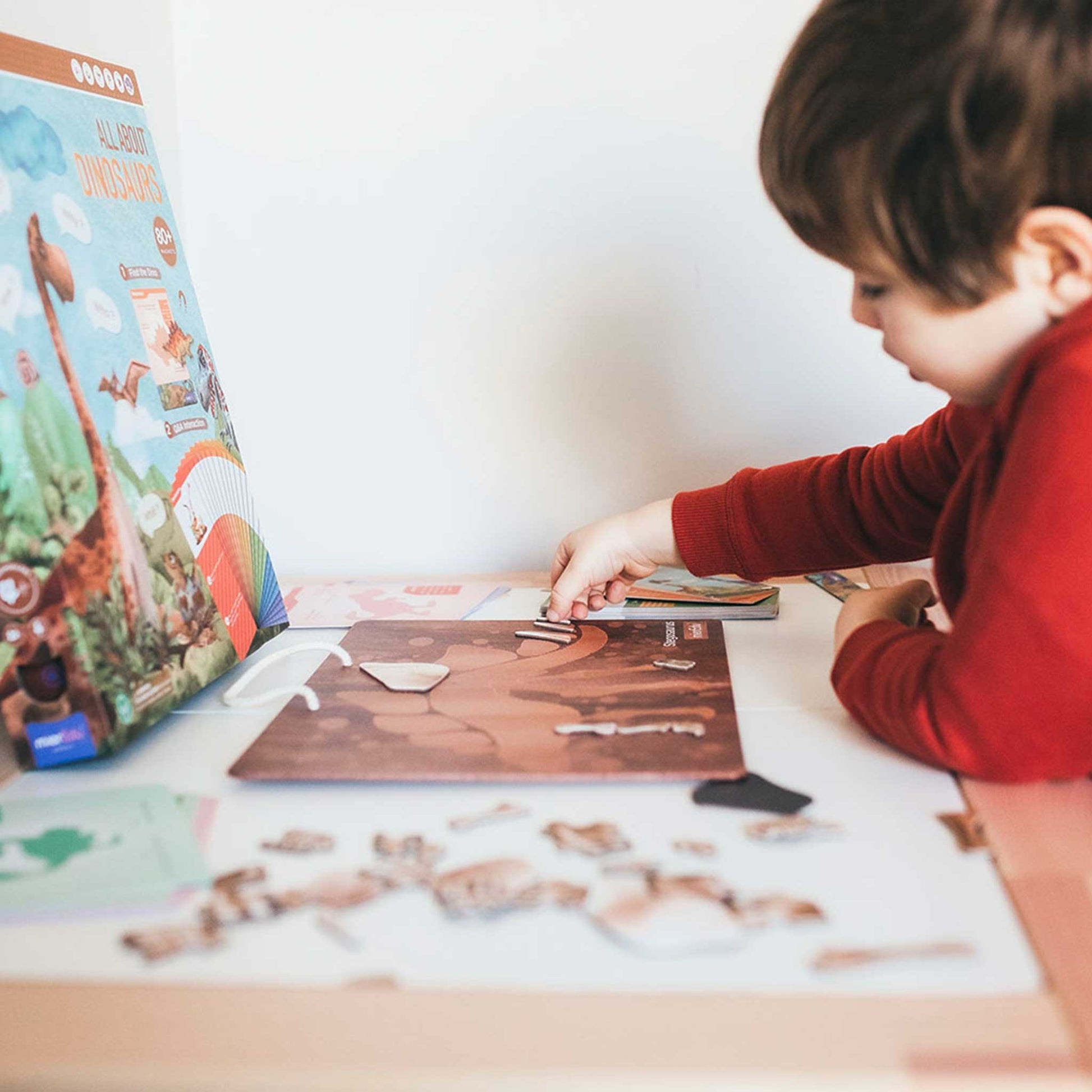 Rompecabezas magnético todo sobre dinosaurios - Mieredu ME098