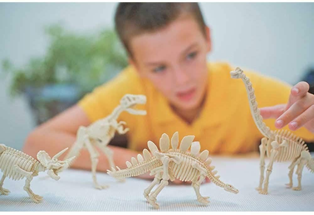 Juego de excavar esqueleto de Triceratops - 4M 30328