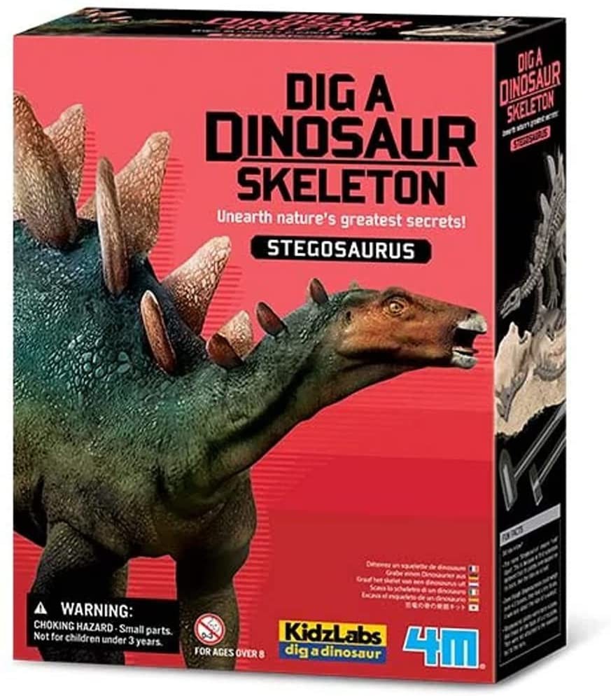 ESQUELETO DE STEGOSAURUS - 4M 004M3229
