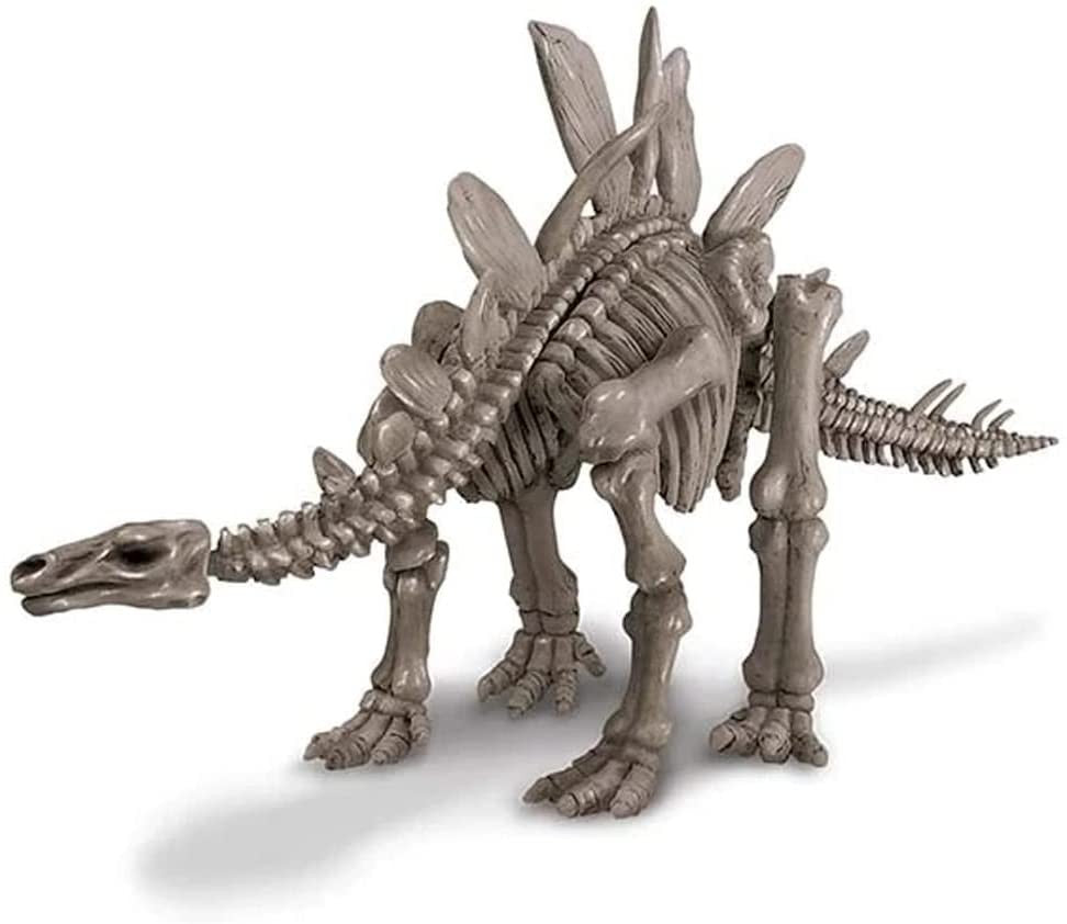 ESQUELETO DE STEGOSAURUS - 4M 004M3229