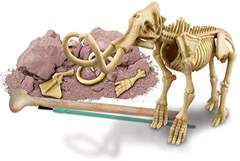 ESQUELETO DE MAMMOTH - 4M 004M3236