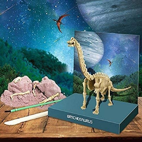 Juego de excavar dinosaurio esqueleto de Brachiosaurus - 4M  5603237