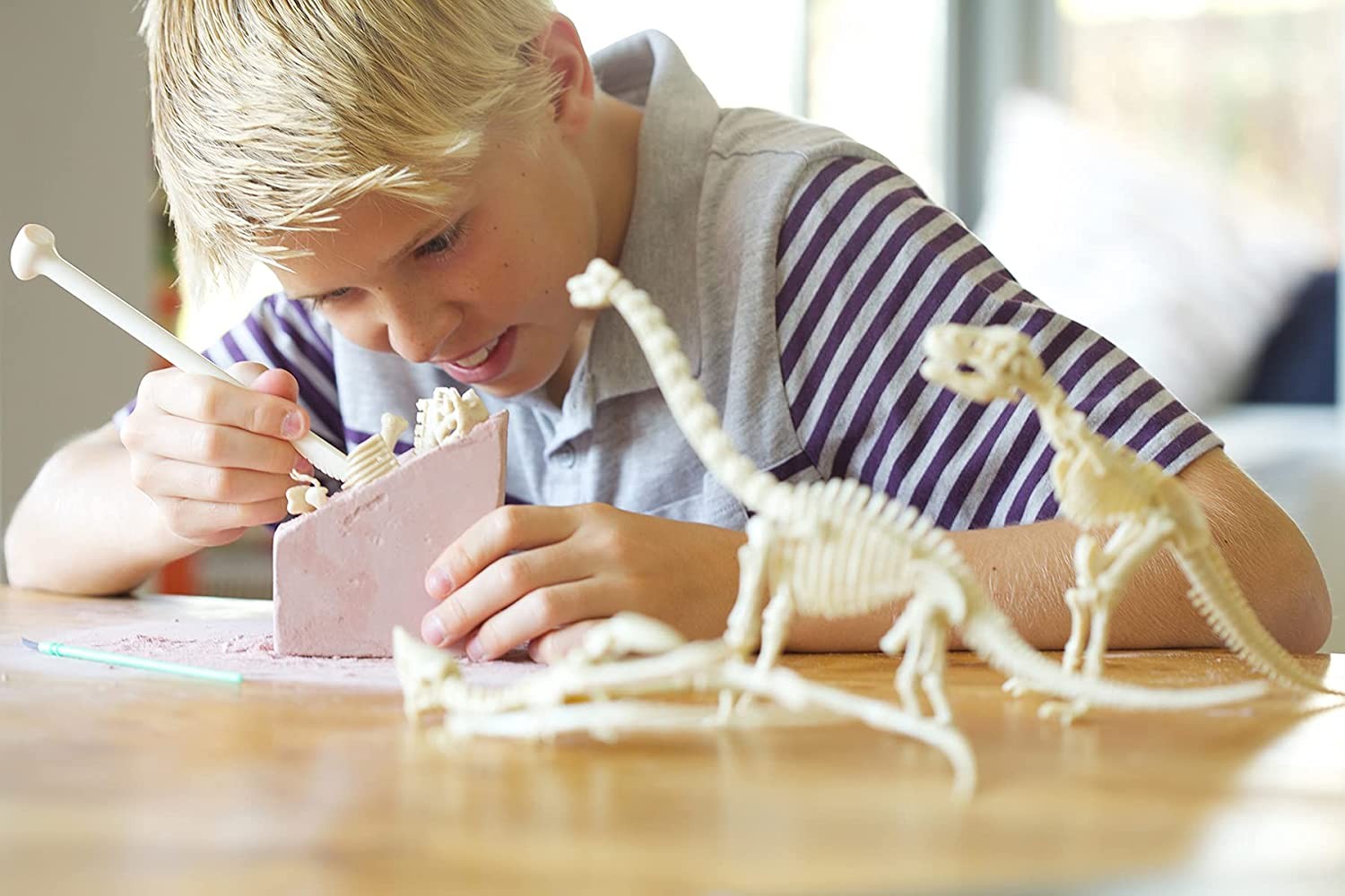 Juego de excavar dinosaurio esqueleto de Brachiosaurus - 4M  5603237