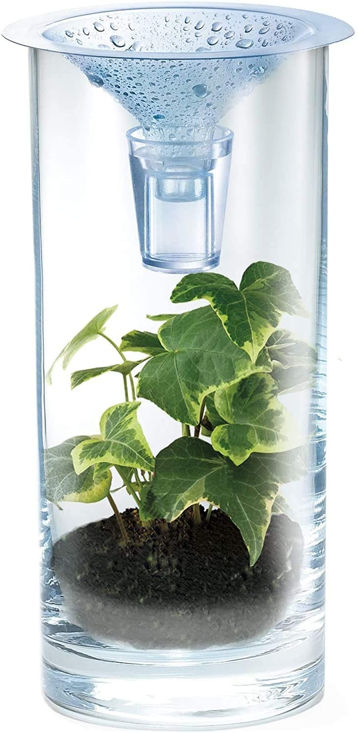 Juego de ciencias Clean water reciclaje - 4M  00-03281