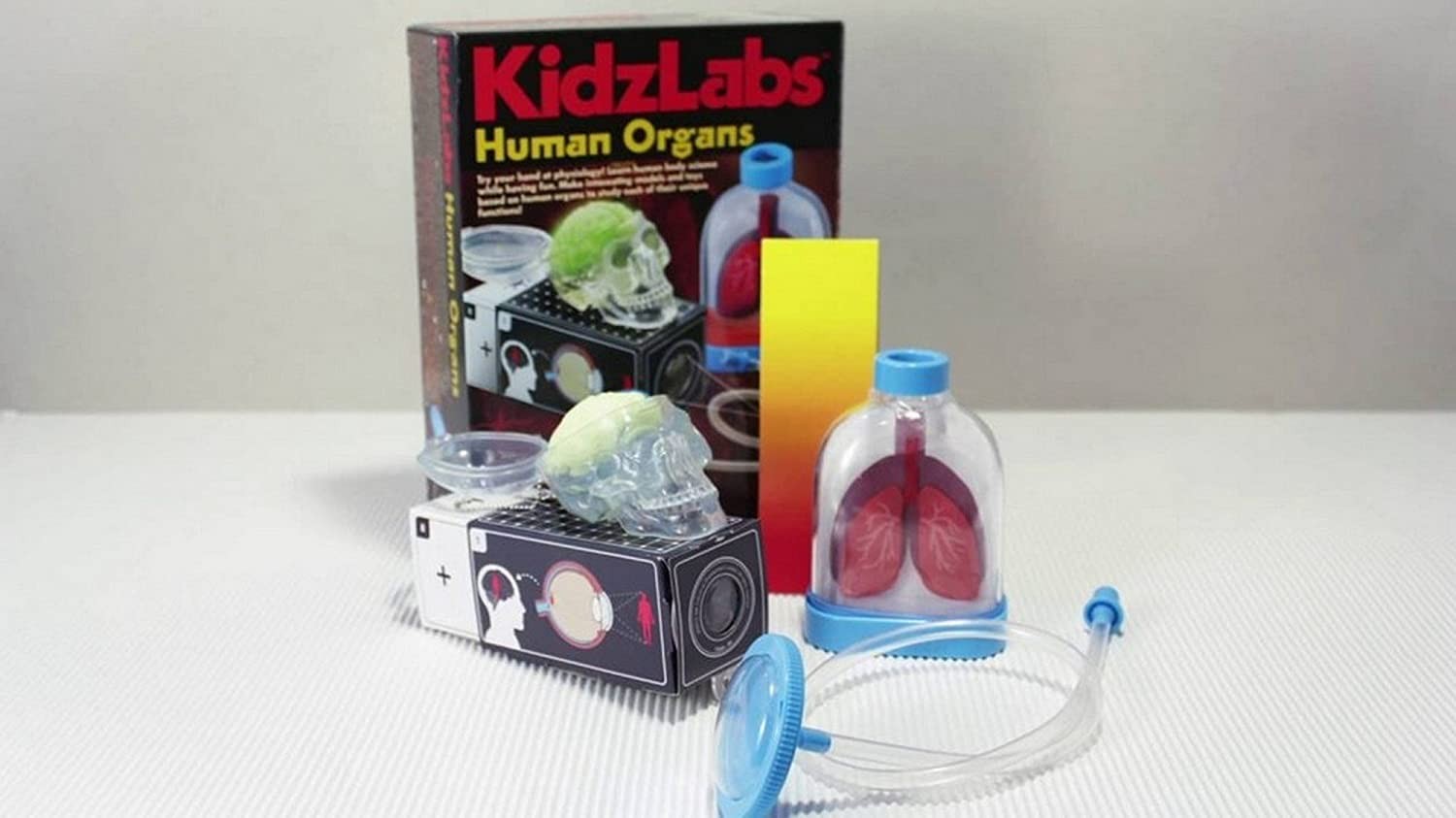 HUMAN ORGANS CIENCIA - 4M (00-03374)