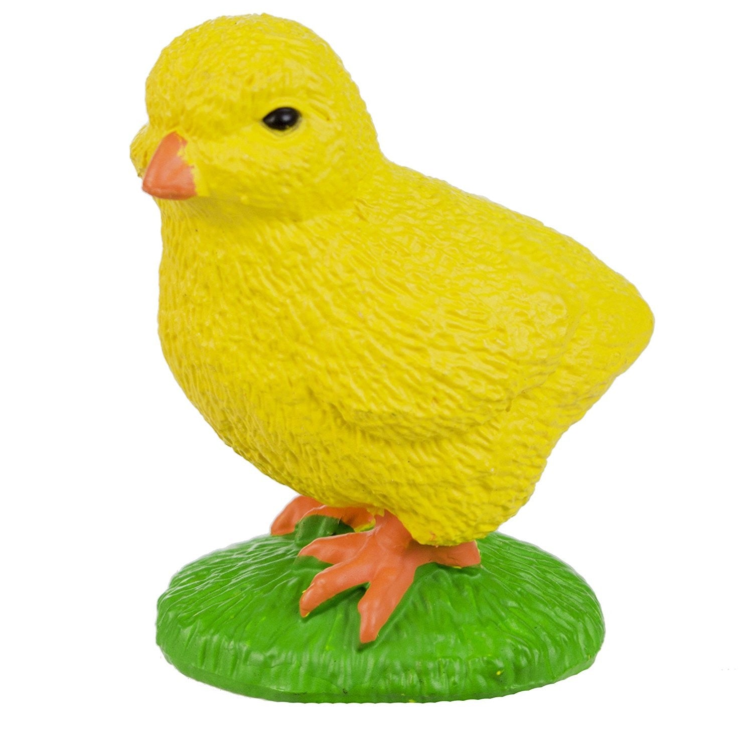 CICLO VIDA GALLINA
