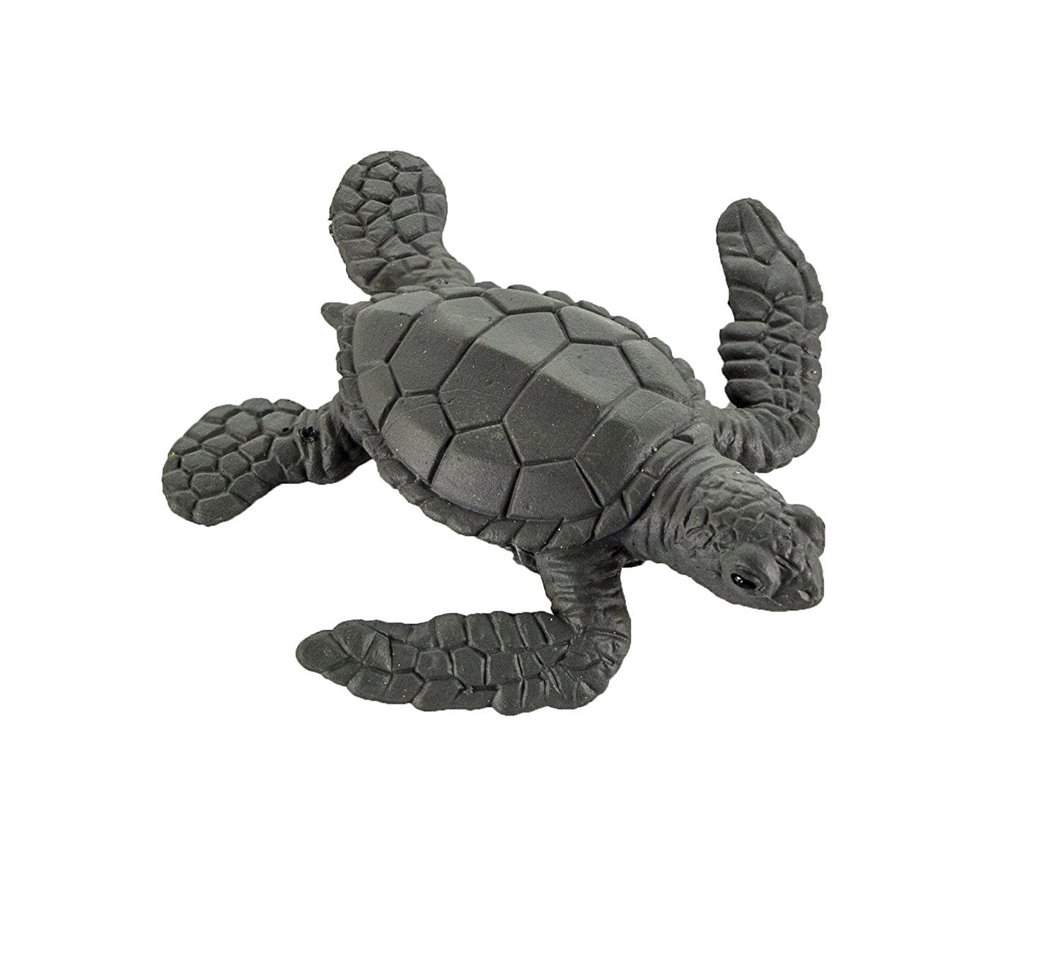 CICLO VIDA TORTUGA