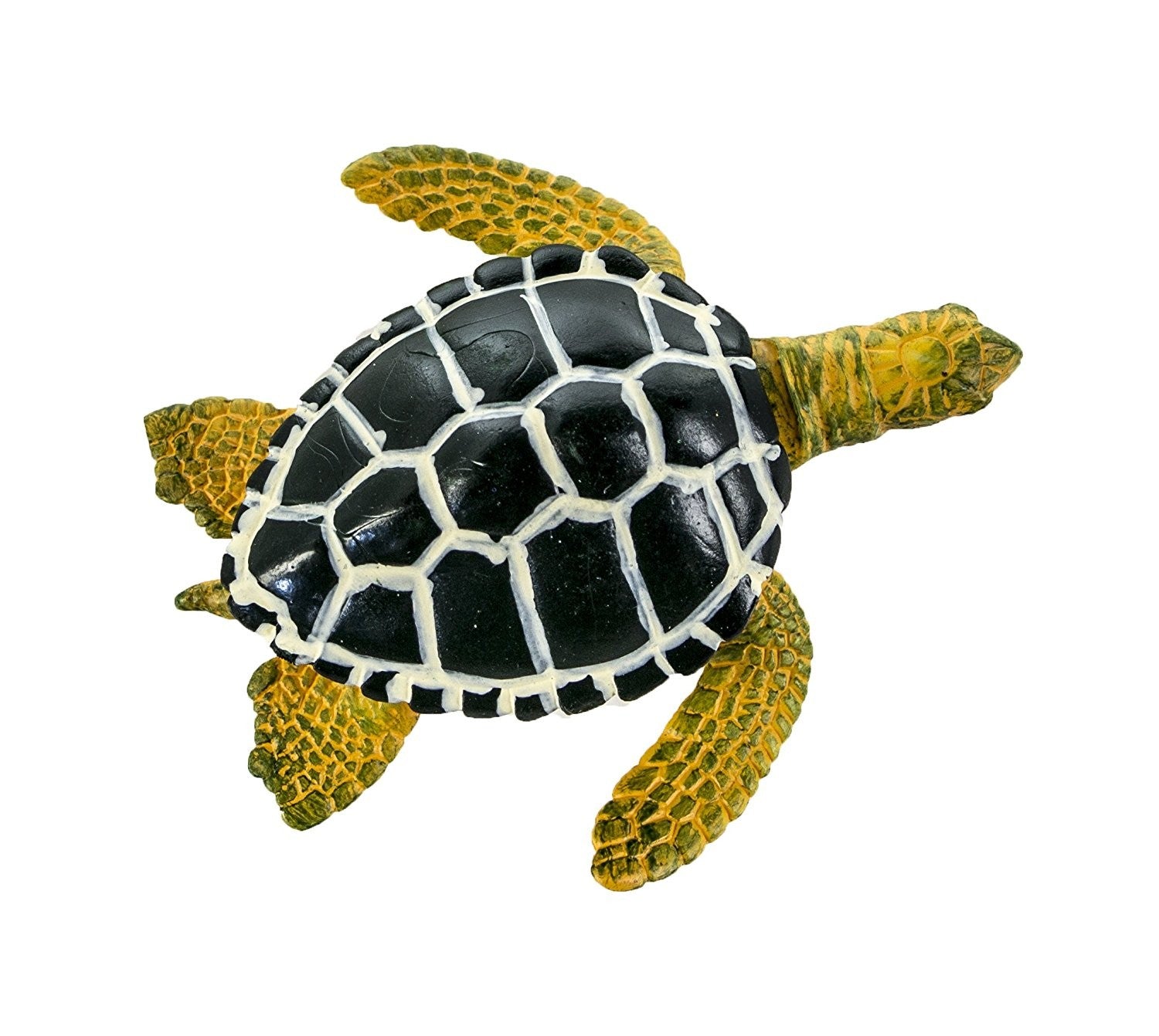 CICLO VIDA TORTUGA