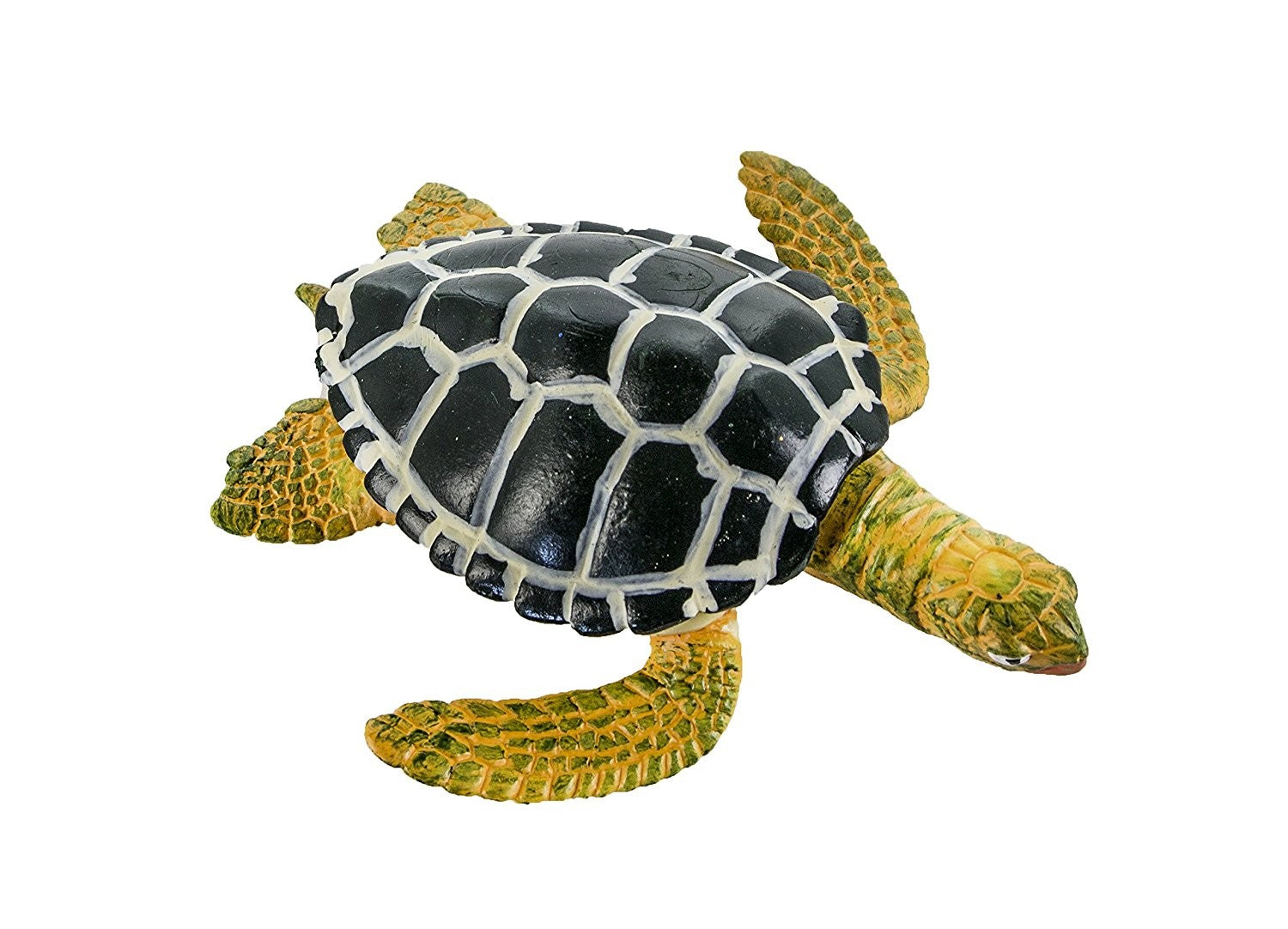 CICLO VIDA TORTUGA