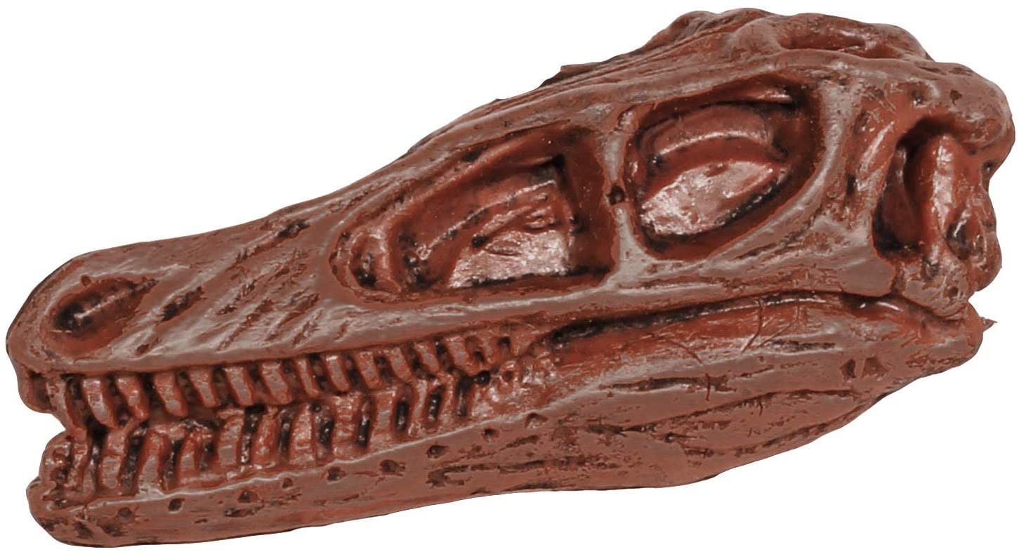 TUBO FIGURAS CALAVERAS DE DINOSAURIO - Safari 687404