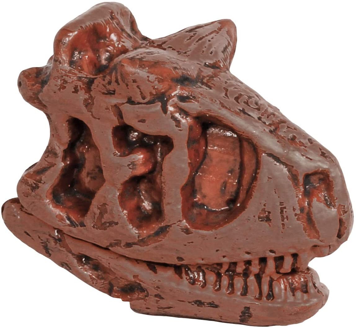 TUBO FIGURAS CALAVERAS DE DINOSAURIO - Safari 687404