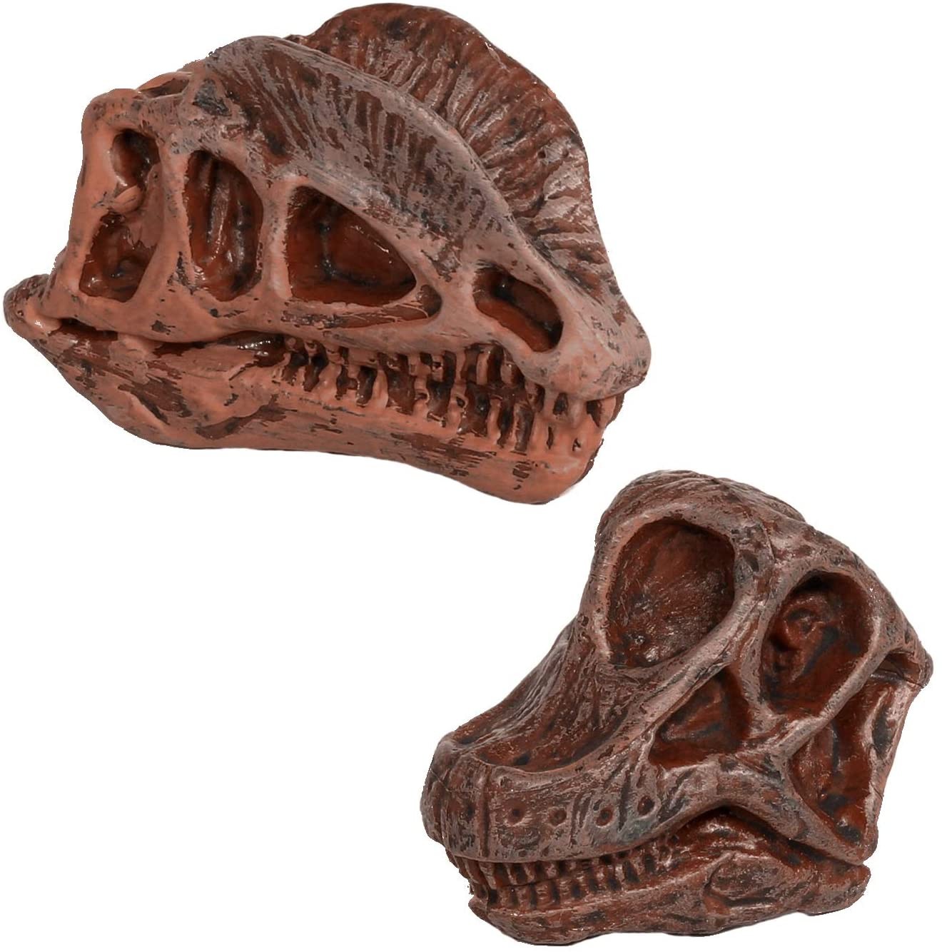 TUBO FIGURAS CALAVERAS DE DINOSAURIO - Safari 687404
