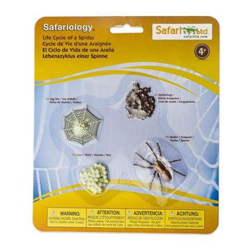 CICLO DE VIDA DE LA ARAÑA - Safari 100406