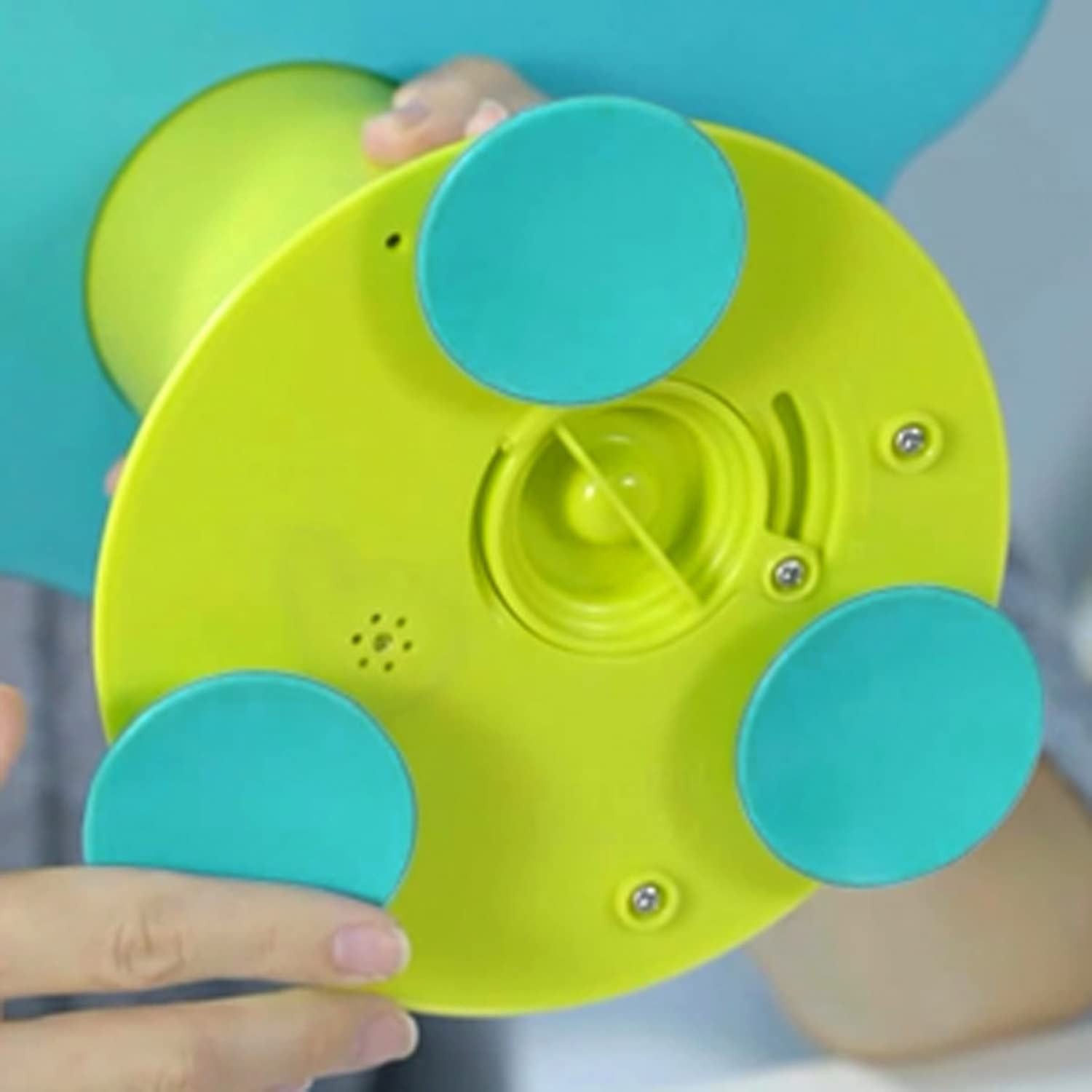 FUENTE MUSICAL DE BALLENAS -Hape