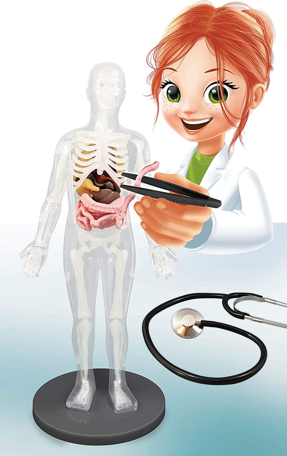 Scientific kit the human body - Buki France 2163 